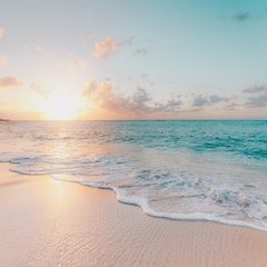 beach trip